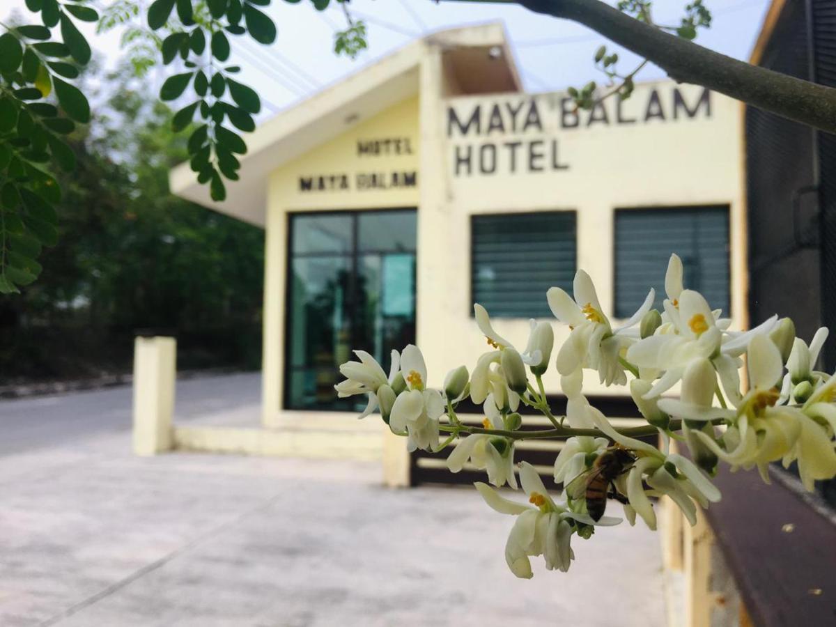 Hotel Maya Balam ซปูฆิล ภายนอก รูปภาพ